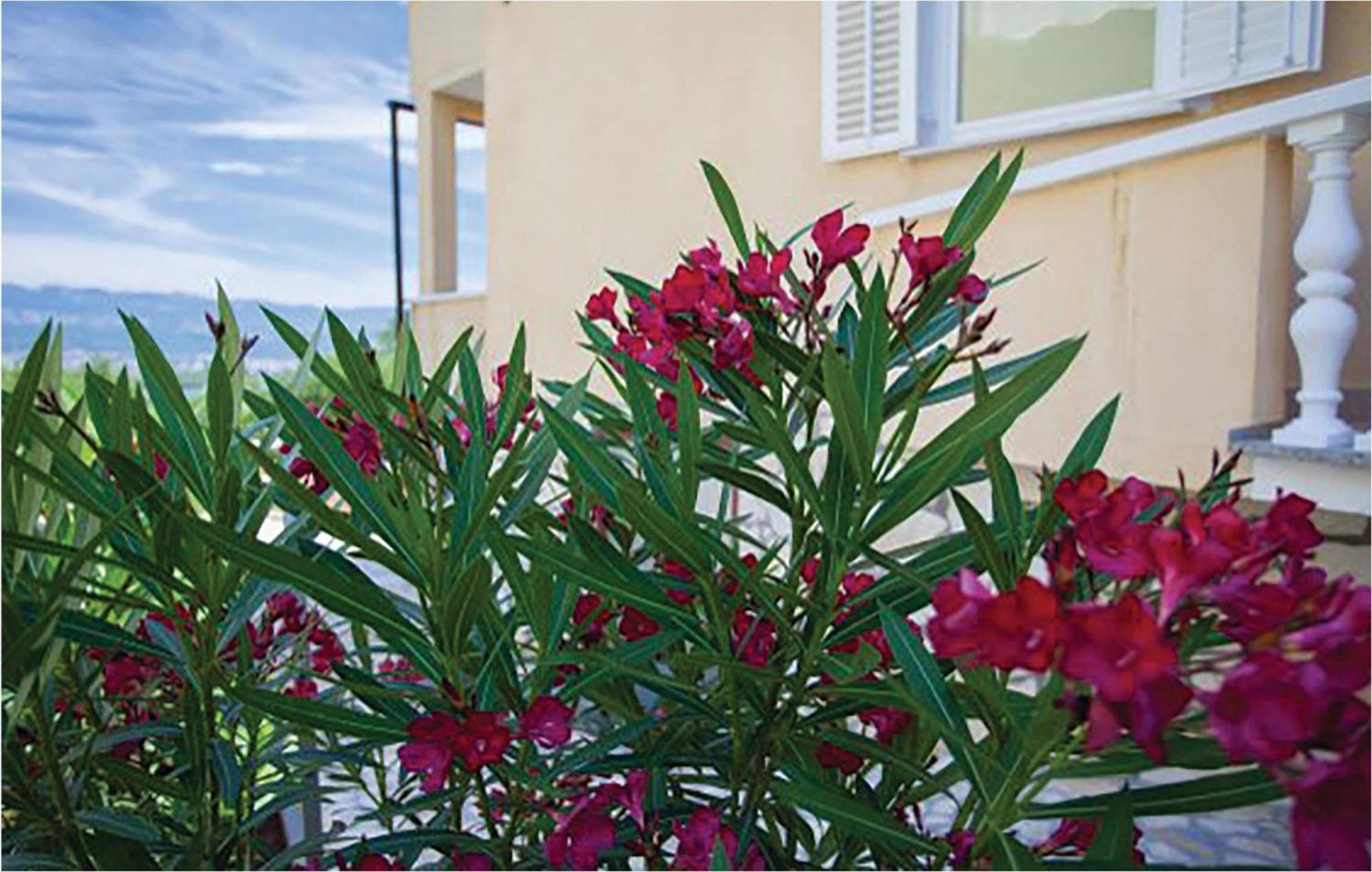 1 Bedroom Beautiful Apartment In Malinska Exterior photo