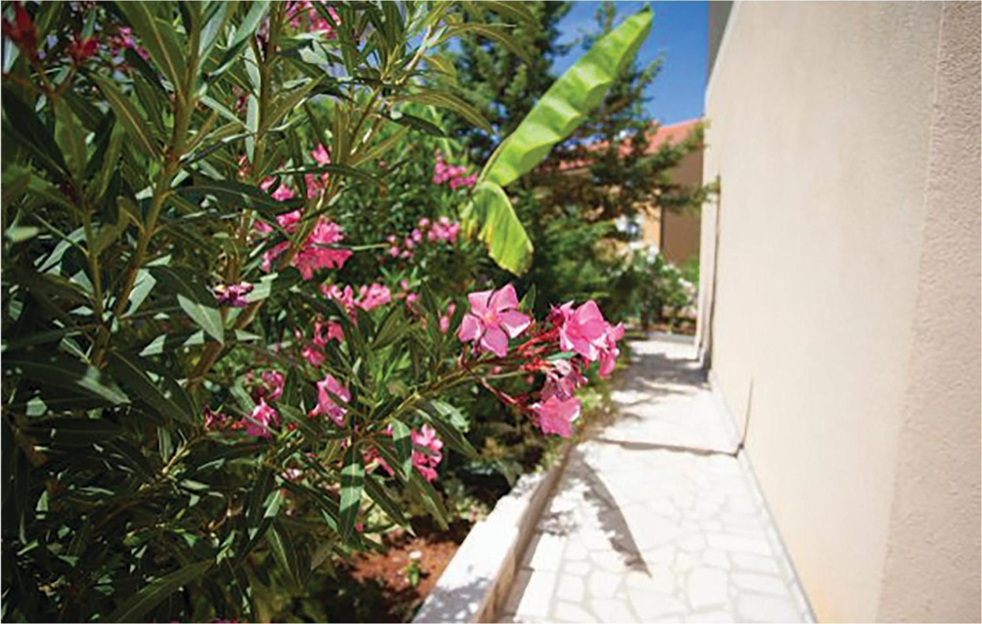 1 Bedroom Beautiful Apartment In Malinska Exterior photo